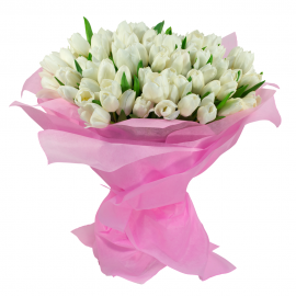  טוליפים לבנים