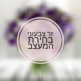 זר צבעוני בחירת המעצב