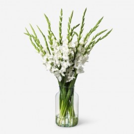 זר גלדיולות לבנות