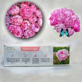 Набор для выращивания пионов