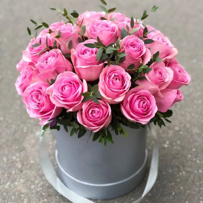 Royal Pink Royal Pink